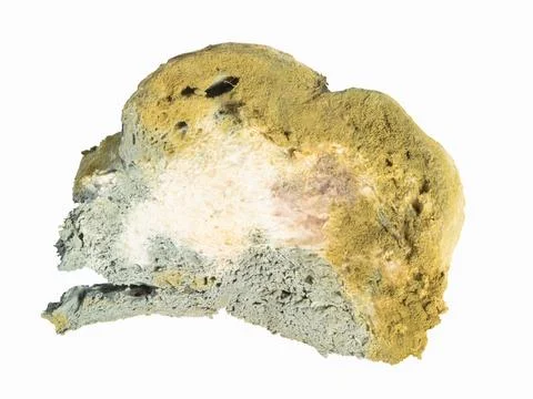 Bread with bacterium of mold . Macro photography 스톡 사진