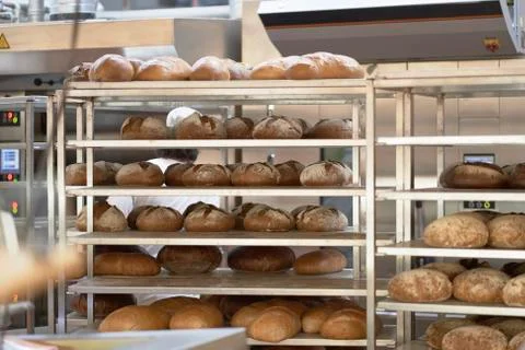 Bread baked in the bakery Stock Photos
