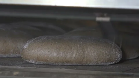 Bread is baked in the oven Vídeo Stock 100737888