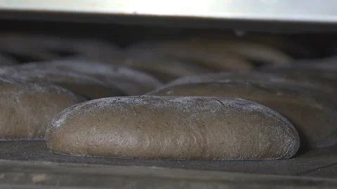 Bread is baked in the oven. time laps Vidéo 100737859