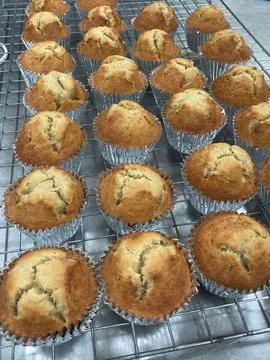 Bread, bakery, cake, foreign desserts (5)(2) Stock Photos