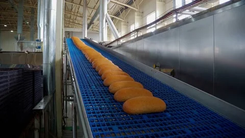 Bread bakery food factory. Breads on conveyor Stock Footage 229698378