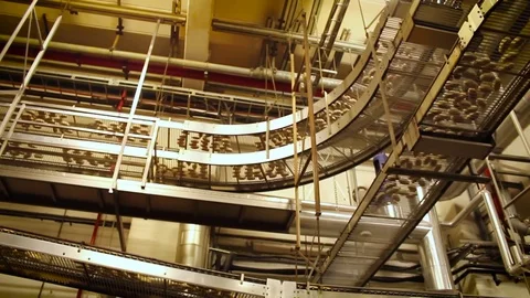 Bread Bakery Production Factory Stock Footage 82877339