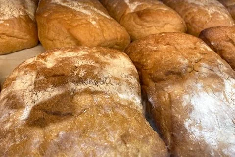 Bread in the bakery window close-up Stock Photos