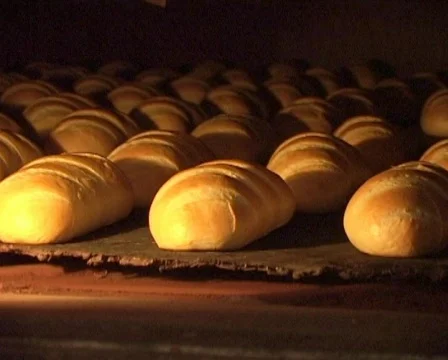 Bread baking conveyor Stock Footage 519549