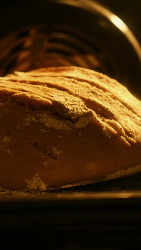 Bread baking in oven. Organic fresh bread. Timelapse. Baker bakes food at bakery Stock Footage 299265452