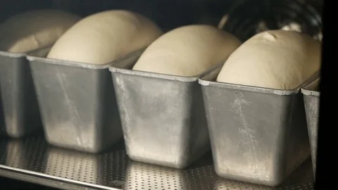 Bread baking in oven. Timelapse 스톡 동영상 73165880