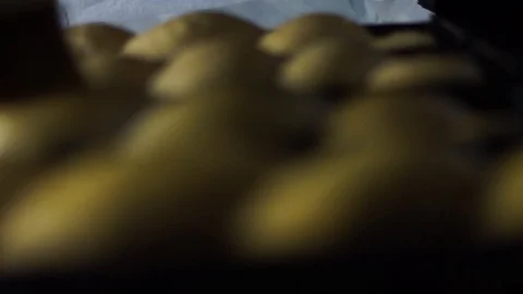 Bread being sprinkled with seeds and lathered with oil Stock Footage 90121911