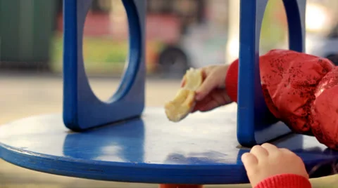 Bread bird feeder Stock-Footage 38215673