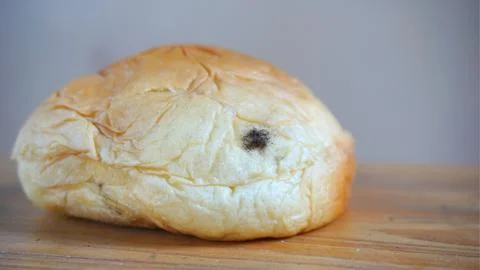 Bread with black mold Stock Photos