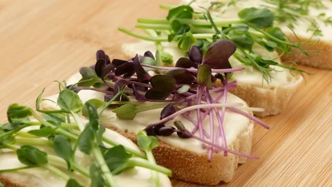 Bread, cheese and microgreens. Healthy Eating. Stock Footage 168735148