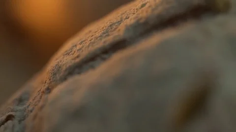 Bread closeup.Drop seeds. Slow motion Stock Footage 81275815