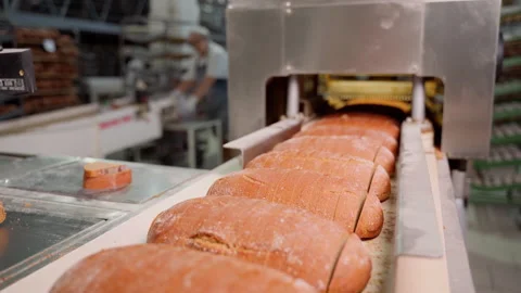Bread on conveyor belt after long loaf cutting mechanism at factory Stock Footage 250267147