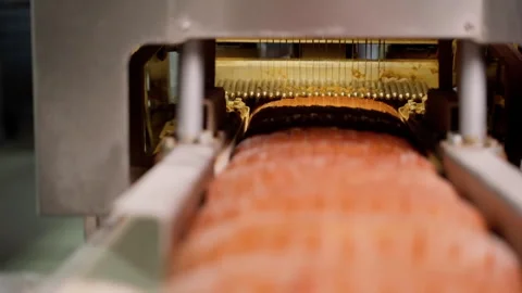 Bread on conveyor belt after long loaf cutting mechanism. Slow motion Stock Footage 250276233