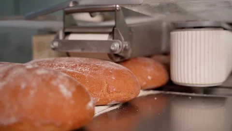 Bread on a conveyor belt close up. Fresh nourish at assembly line. Slow motion Stock Footage 250274343