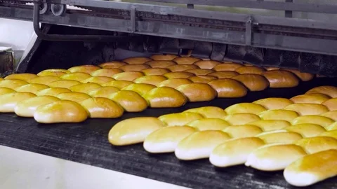 Bread On The Conveyor Stock Footage 70749725