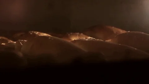 Bread cooked in the oven. Video stock 74488416