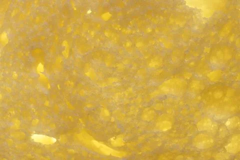 Bread crumb texture. Bakery slice filling background. Stock Photos