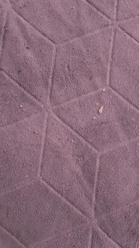 Bread crumbs, trash on the carpet on the floor in the house. House cleaning 動画素材 315151678