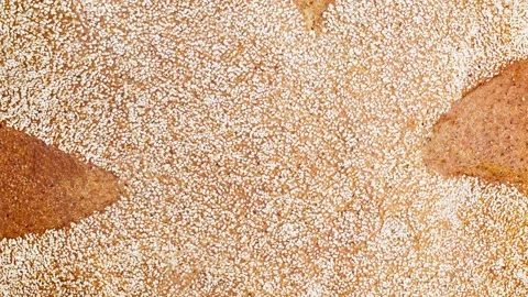 Bread dark round rye, sprinkled with semolina, rotating, turning Stock-Footage 243990680