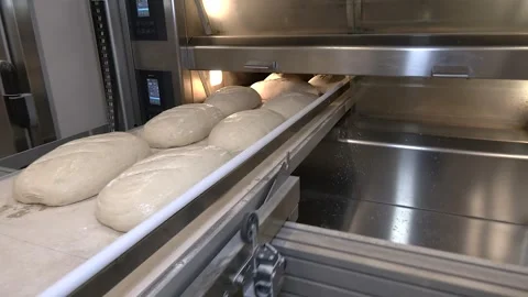 Bread Dough Loaves Loaded into Industrial Bakery Oven 스톡 동영상 346472952