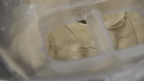 Bread dough mixing in industrial mixer Stock Footage 334564393