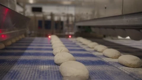 Bread dough pieces moving on conveyor belt in industrial bakery Stock Footage 333823317