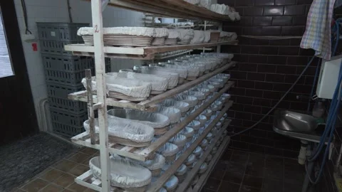 Bread Dough Proofing in Baskets on Bakery Racks Vídeo Stock 346471872
