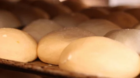 Bread dough ready to be baked Stock Footage 130085087