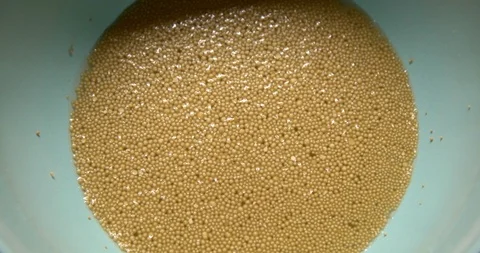 Bread dry yeast in water - time lapse Stockbeeldmateriaal 128753663