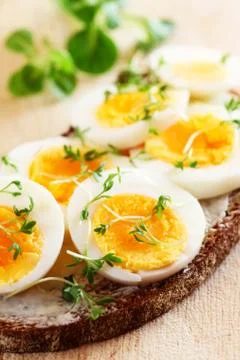 Bread With Egg And Cress Stock Photos