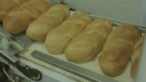 Bread Factory. Bread Preparation. Bakery Bread Factory Video stock 150231944