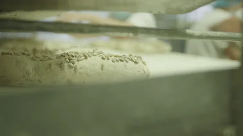 Bread Factory. Bread Preparation. Bakery Bread Factory Stock Footage 150231956