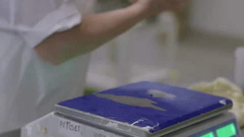 Bread Factory. Bread Preparation. Bakery Bread Factory Stockbeeldmateriaal 150232115