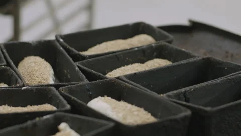 Bread Factory. Bread Preparation. Bakery Bread Factory Stock Footage 150232956