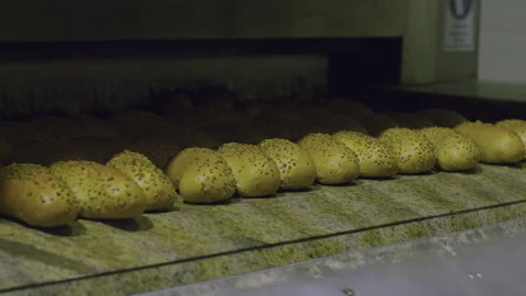 Bread Factory. Bread Preparation. Bakery Bread Factory Stock Footage 150233287