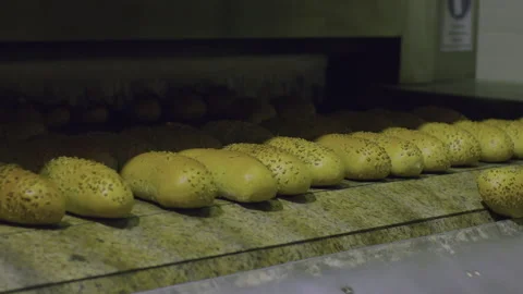 Bread Factory. Bread Preparation. Bakery Bread Factory Stock Footage 150233292