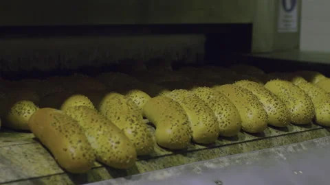 Bread Factory. Bread Preparation. Bakery Bread Factory Stock Footage 150233310