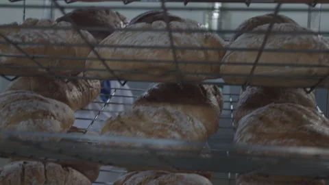 Bread Factory. Bread Preparation. Bakery Bread Factory Stock Footage 150233955
