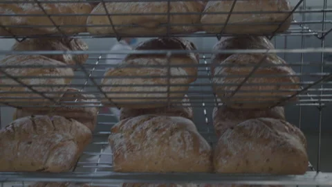 Bread Factory. Bread Preparation. Bakery Bread Factory Stock Footage 150234049