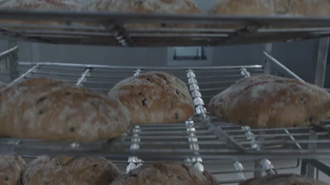 Bread Factory. Bread Preparation. Bakery Bread Factory Stock Footage 150234061