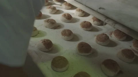 Bread Factory. Bread Preparation. Bakery Bread Factory 動画素材 150235833