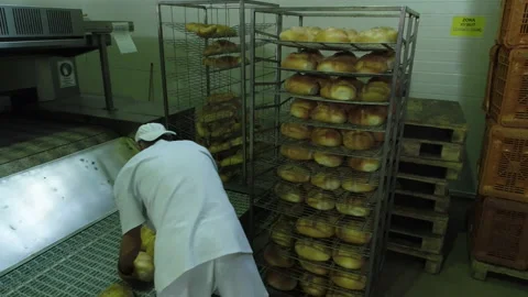 Bread Factory. Bread Preparation. Bakery Bread Factory Vídeos de archivo 150236156