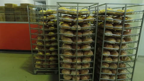Bread Factory. Bread Preparation. Bakery Bread Factory Video stock 150236184