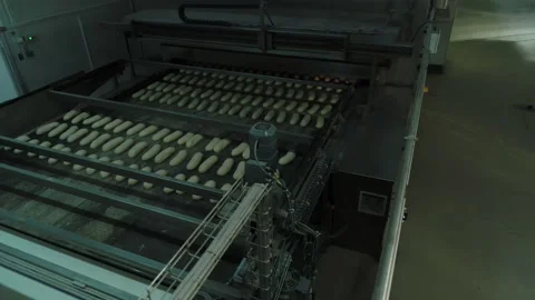 Bread Factory. Bread Preparation. Bakery Bread Factory Vídeos de archivo 150236610