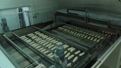 Bread Factory. Bread Preparation. Bakery Bread Factory Video stock 150236655