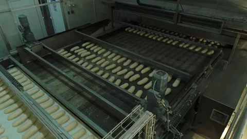 Bread Factory. Bread Preparation. Bakery Bread Factory Video stock 150236761
