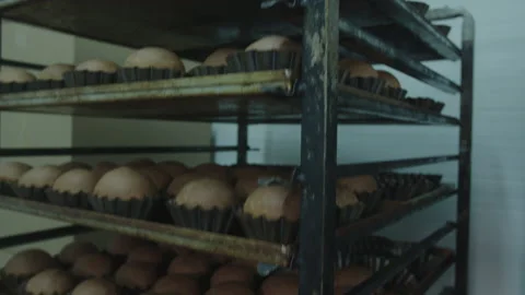 Bread Factory. Bread Preparation. Bakery Bread Factory Stock-Footage 150238238
