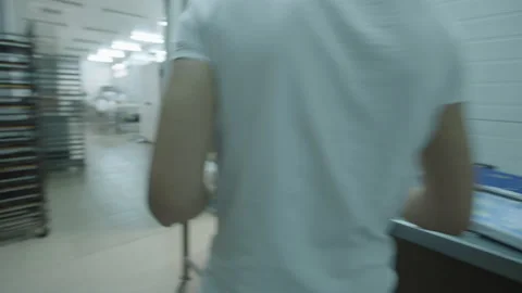 Bread Factory. Bread Preparation. Bakery Bread Factory Video stock 150238319