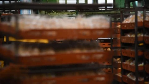Bread at the factory Video stock 80956802